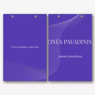 Įmonės Paketo Šablonas