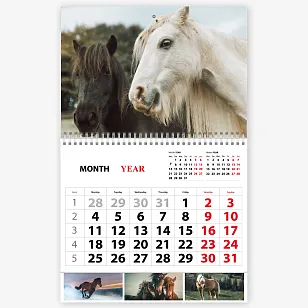 Шаблон настінного календаря з кіньми