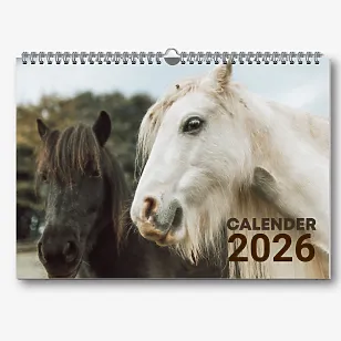 Шаблон настінного календаря з кіньми