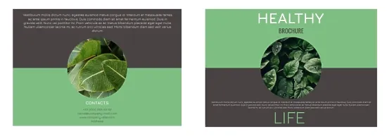 Healthy Lifestyle Brochure Template