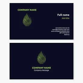 Business card template. Abstract. Drop, leaf, cocoon. Nature and ecology. Freshness and purity. Innovation and modernity. Brand.