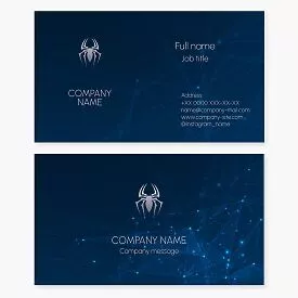 Spider Logo | Networking Link Design | Business Card Template