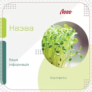 Зеленая геометрия