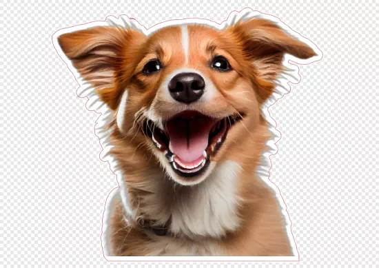 Стикерпак Funny