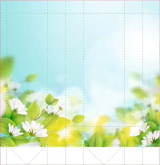 Шаблон пакета с цветами и небом