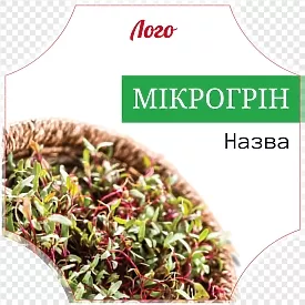 Микрогрин в корзинке