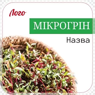Микрогрин в корзинке