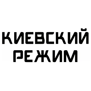 Вінілова наклейка на авто ЗСУ "Киевский режим"